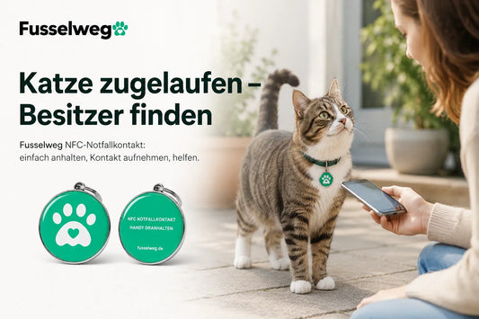 Katze zugelaufen – Besitzer finden