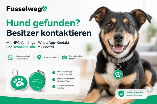 Hund gefunden – Besitzer kontaktieren