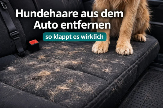 hundehaare-aus-dem-auto-entfernen-so-klappt-es-wirklich