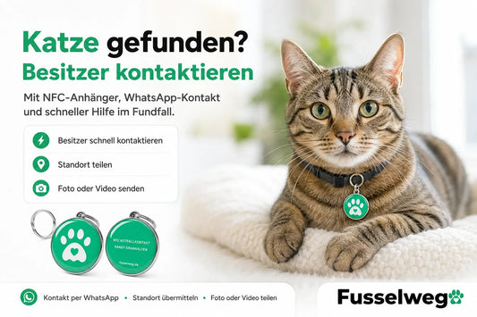 Katze gefunden – Besitzer kontaktieren