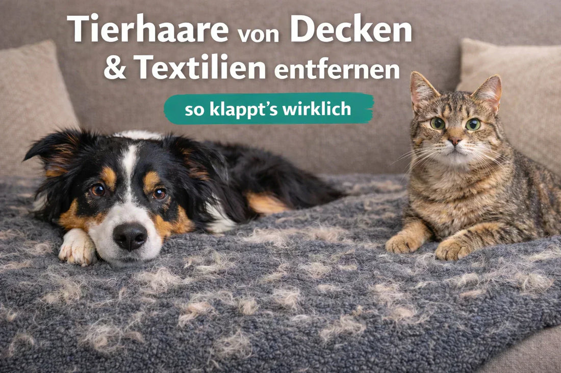 Tierhaare von Decken und Textilien entfernen mit Hund und Katze auf einer glatten Couchdecke voller Haare