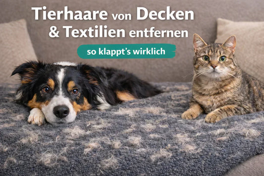 Tierhaare von Decken und Textilien entfernen mit Hund und Katze auf einer glatten Couchdecke voller Haare